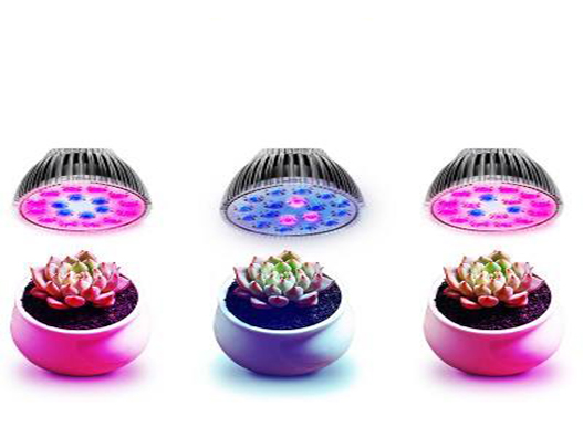 植物補(bǔ)光燈商標(biāo)注冊(cè)哪一類？