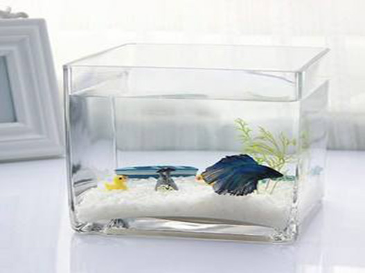 玻璃缸商標(biāo)注冊哪一類？