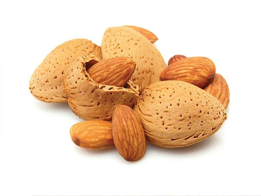 杏仁商標注冊哪一類？