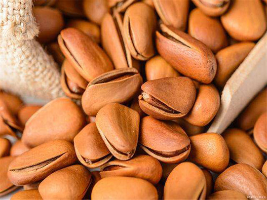 松子商標注冊哪一類？