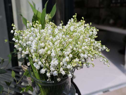 鈴蘭商標注冊哪一類？