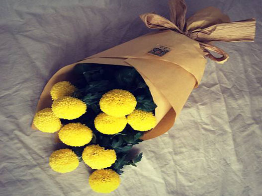 乒乓菊商標注冊哪一類？