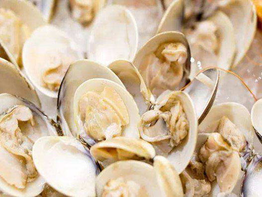 蛤蜊商標注冊哪一類？