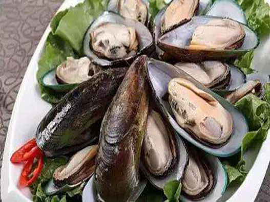 貽貝商標注冊哪一類？