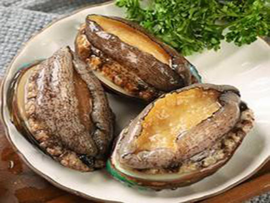 鮑魚商標注冊哪一類？