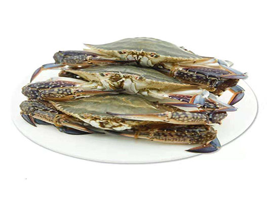 梭子蟹商標注冊哪一類？