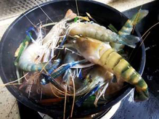 金錢蝦商標注冊哪一類？