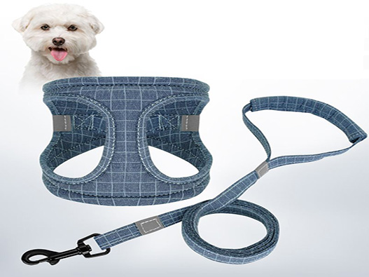 寵物牽引繩商標注冊