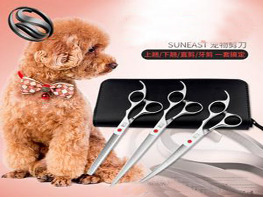 寵物美容工具商標注冊