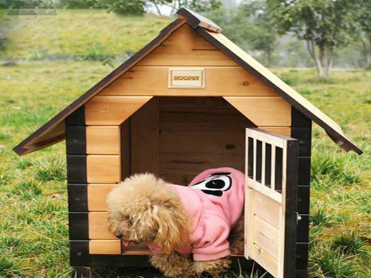 寵物屋商標注冊哪一類？