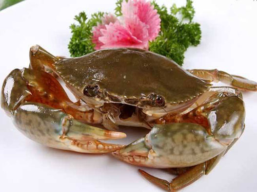 青蟹商標注冊哪一類？