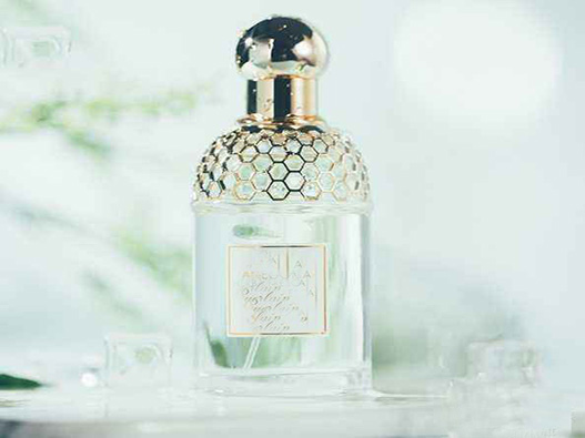 薄荷香水商標注冊