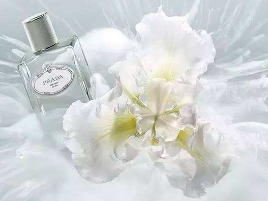 鳶尾花香水商標(biāo)注冊(cè)哪一類(lèi)？