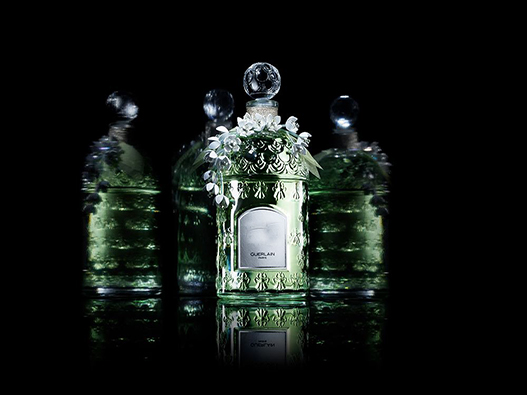 鈴蘭香水商標注冊