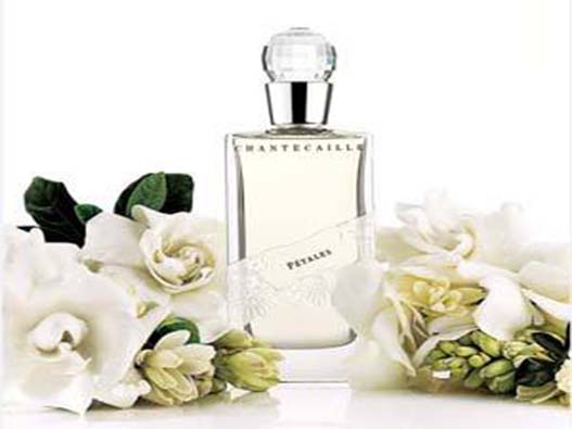 桅子花味香水商標注冊