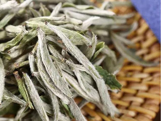 白毫銀針商標(biāo)注冊