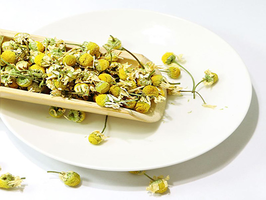 洋甘菊花茶商標注冊