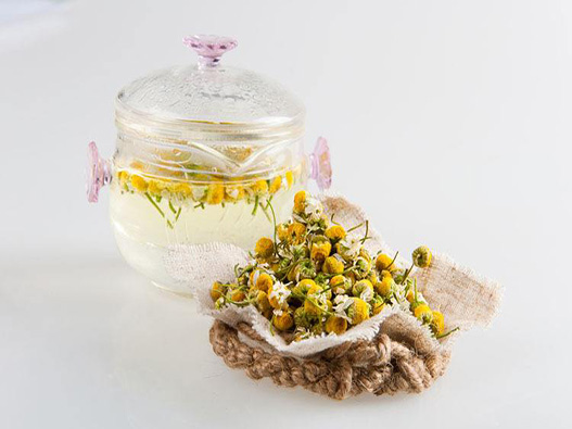 洋甘菊花茶商標注冊