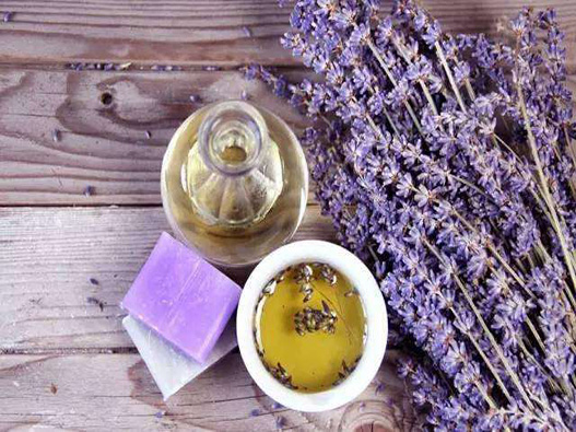 薰衣草茶商標注冊