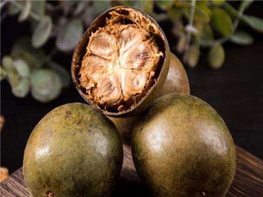 羅漢果商標注冊的費用有哪些？