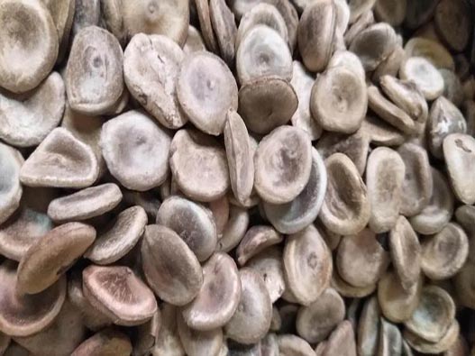 馬錢子商標注冊要多少費用？