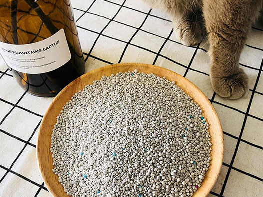 貓砂商標注冊屬于哪一類？