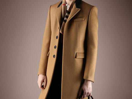 大衣商標注冊屬于哪一類？