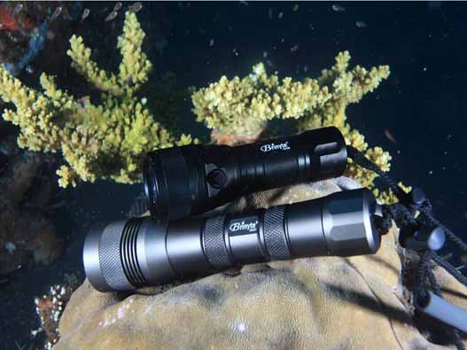 潛水燈商標注冊的費用有哪些？