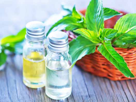 薄荷油商標注冊的材料是什么？