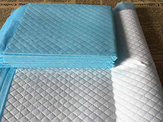 寵物尿布商標注冊屬于哪一類？