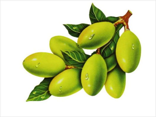 橄欖商標(biāo)注冊(cè)屬于哪一類(lèi)？