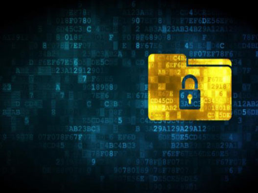 數字版權申請多少錢？