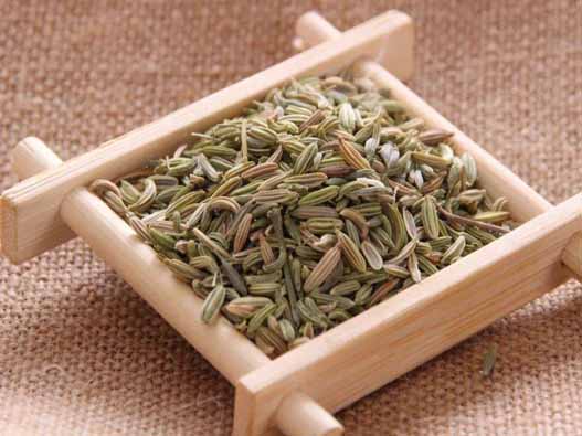 小茴香商標注冊要多少錢？