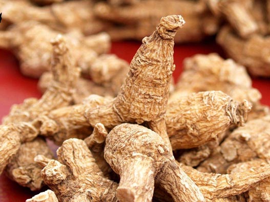 西洋參商標注冊的費用有哪些？