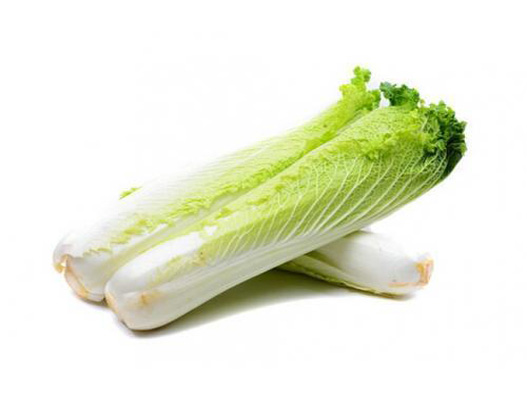 白菜商標(biāo)注冊(cè)哪一類？