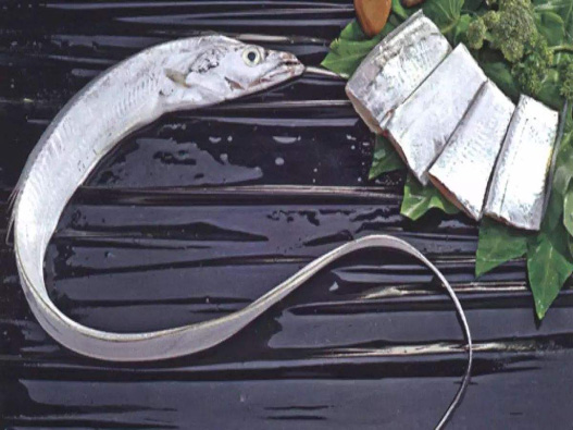 白帶魚商標注冊