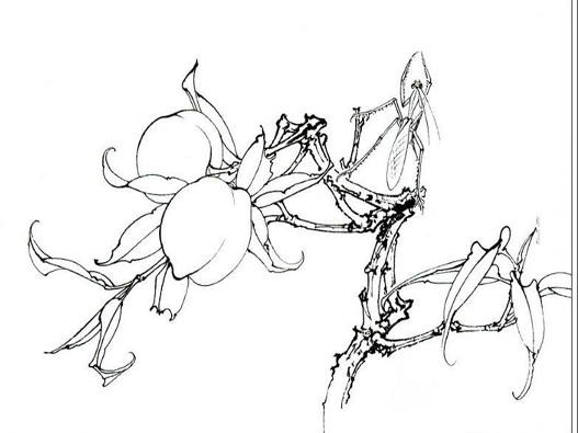 漫畫培訓商標注冊屬于哪一類？