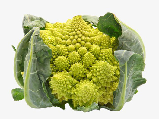 寶塔菜商標注冊屬于哪一類？