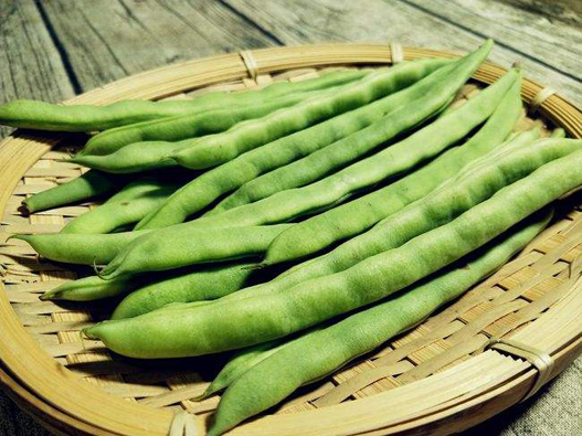 扁豆商標注冊屬于哪一類？