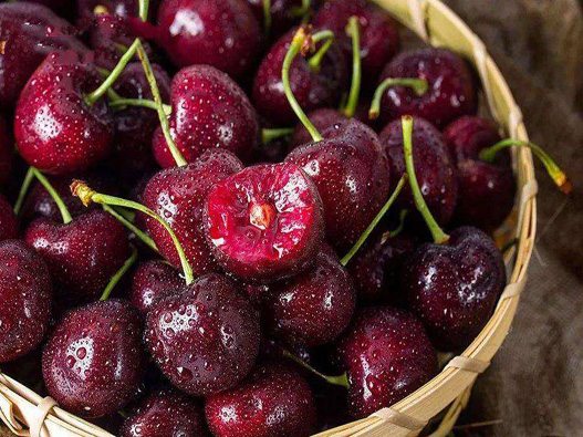 車厘子商標注冊的流程是什么？