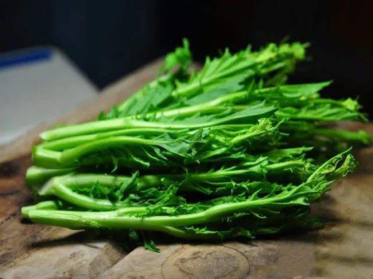 沖菜商標注冊屬于哪一類？