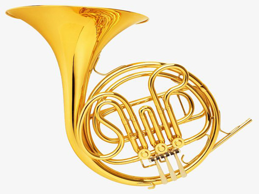 樂器大號(hào)培訓(xùn)