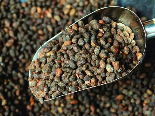 豆豉商標(biāo)注冊(cè)哪一類？