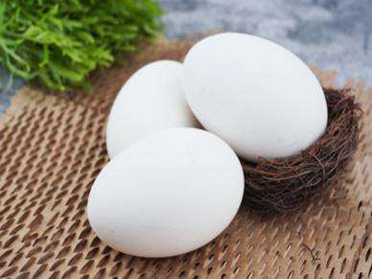 鵝蛋商標注冊屬于哪一類？