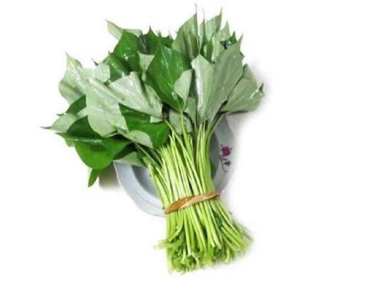 番薯葉商標(biāo)注冊哪一類？