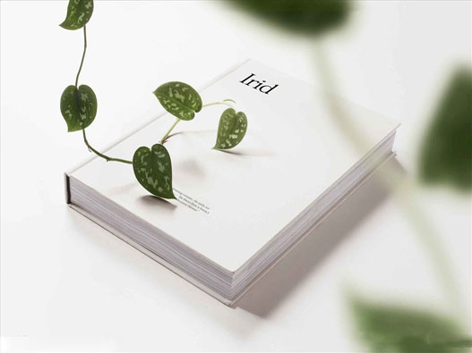 封面設(shè)計培訓(xùn)商標注冊屬于哪一類？