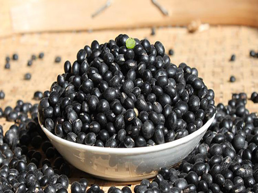 黑豆種子商標注冊哪一類？