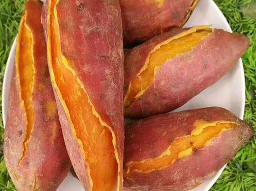 紅薯商標注冊屬于哪一類？