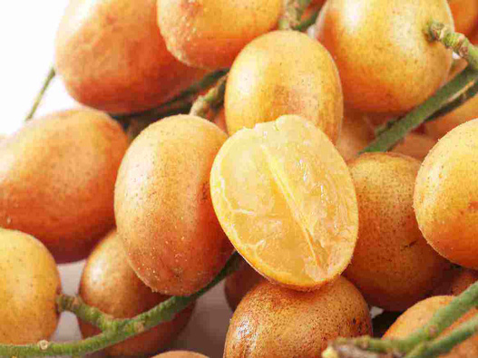 注冊黃皮果商標