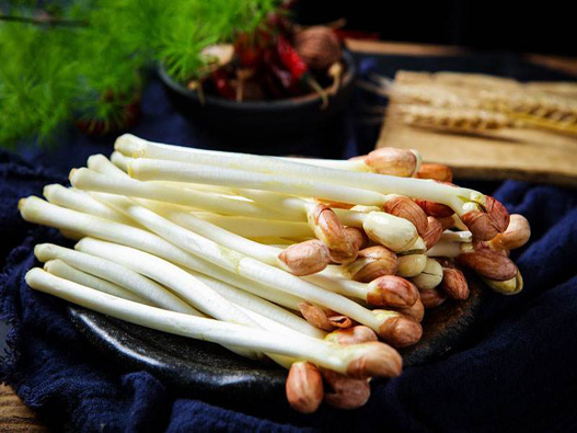 花生芽商標注冊屬于哪一類？